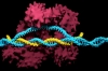 Các nhà nghiên cứu CRISPR tại ĐH California hợp tác với “gã khổng lồ” ngành dược