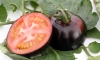Cà chua đen giàu chất chống oxy hóa