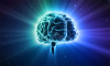 Con người thực chất sử dụng bao nhiêu % bộ não?