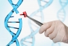 CRISPR và iPSC: Công cụ hứa hẹn cho điều trị ung thư