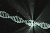 Phát hiện giải pháp tạo siêu dẫn trong DNA có thể làm thay đổi công nghệ