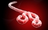 Phát hiện "gót Asin" của virus nguy hiểm nhất thế giới