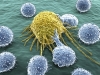 Tiếp cận tiến hóa trong điều trị ung thư
