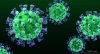 Mỹ tuyên bố tìm ra kháng thể chống lại virus MERS