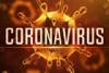 Vì sao virus corona chỉ "thích" tấn công phổi?